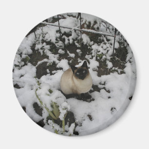 雪のイメージ、雪猫 マグネット