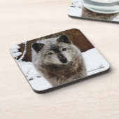 雪のオオカミ コースター (左側)