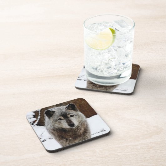 雪のオオカミ コースター (右側)