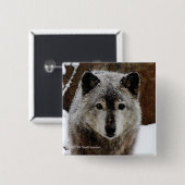 雪のオオカミ 缶バッジ (正面&裏面)