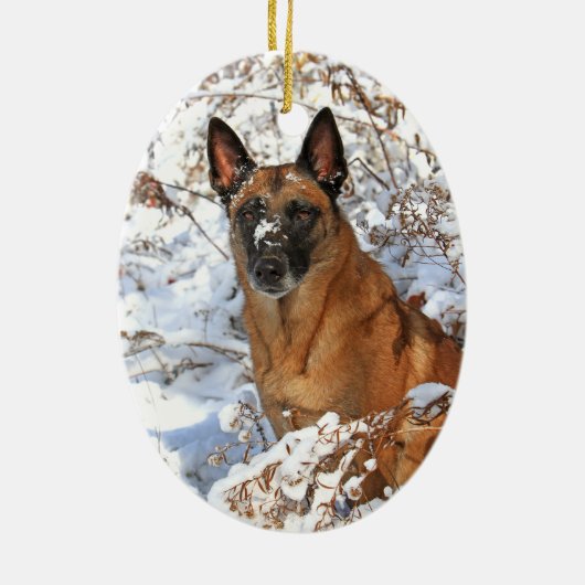 雪のオーナメントのベルギー人Malinois セラミックオーナメント (裏面)