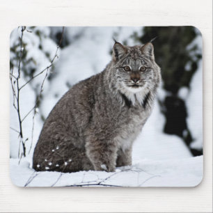 雪のカナダのオオヤマネコ マウスパッド