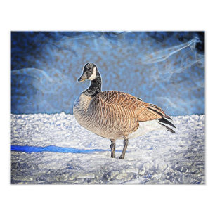 雪のカナダのガチョウ フォトプリント