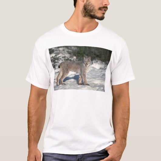 雪のカナダオオヤマネコ Tシャツ (正面)