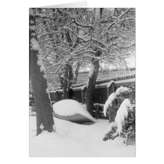 雪のカヌー (正面)