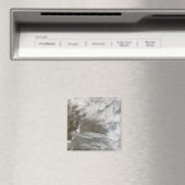 雪のカバーは薄氷を囲む マグネット (インサイチュ (食洗機))