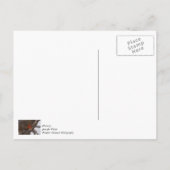 雪のカーディナル感謝のポストカード ポストカード (裏面)