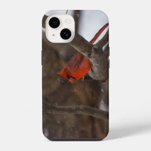 雪のカーディナルiPhoneケース iPhoneケース (裏面)