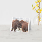 雪のカードに野生のムスタングス カード (黄色い花)