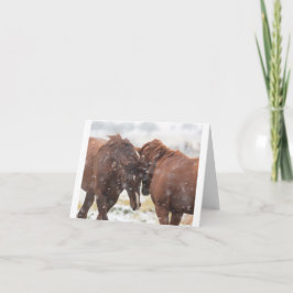 雪のカードに野生のムスタングス カード