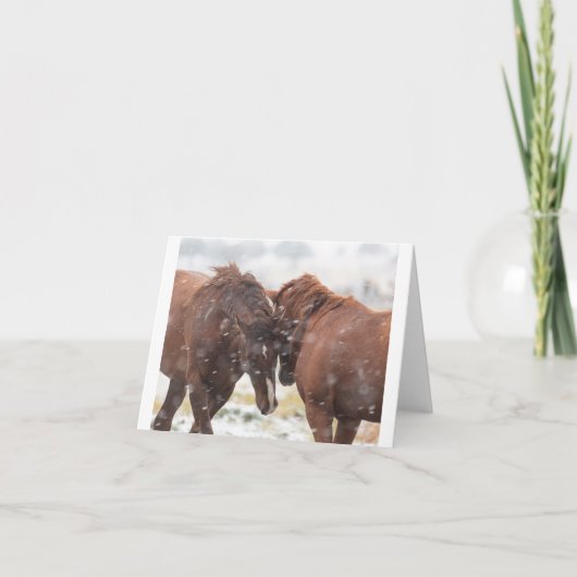 雪のカードに野生のムスタングス カード (正面)