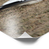 雪のガチョウ写真 フォトプリント            (角)