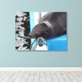 雪のガラパゴスシーライオン キャンバスプリント (インサイチュ (ウッドフロア))