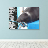 雪のガラパゴスシーライオン キャンバスプリント (インサイチュ (ウッドフロア))