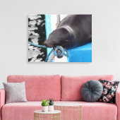 雪のガラパゴスシーライオン キャンバスプリント (インサイチュ (リビング))