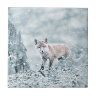 雪のキツネカブス タイル