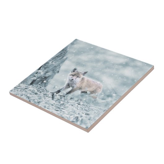 雪のキツネカブス タイル (側面)