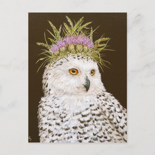 雪のクイーン葉書 ポストカード (正面)