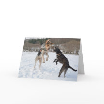 雪のクリスマスで楽しい時を過している犬