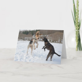 雪のクリスマスで楽しい時を過している犬 シーズンカード