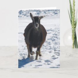 雪のクリスマスにおもしろいを持つミシャ シーズンカード