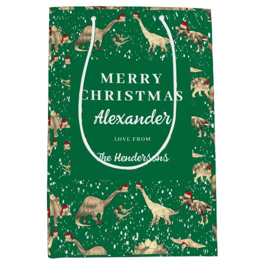 雪のクリスマスにかわいい恐竜パーソナライズされた ミディアムペーパーバッグ (正面)