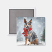 雪のクリスマスにオーストラリアの牛の犬 マグネット (正面/裏面)