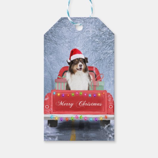 雪のクリスマスにオーストラリアの羊飼い犬 ギフトタグ (正面)