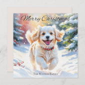 雪のクリスマスにキャバコン犬 シーズンカード (正面/裏面)