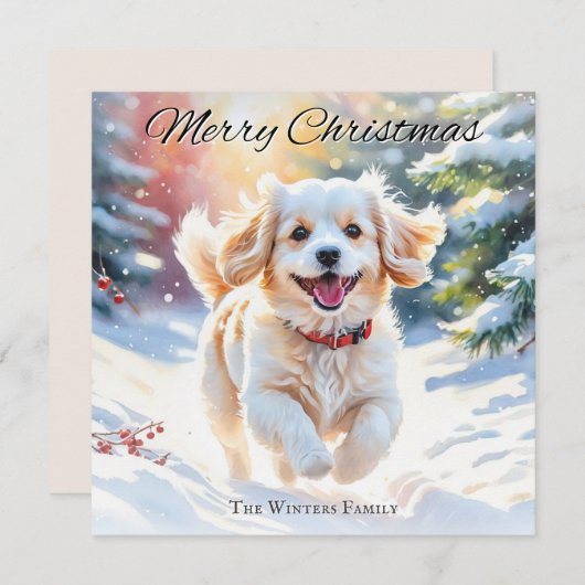 雪のクリスマスにキャバコン犬 シーズンカード (正面/裏面)