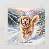 雪のクリスマスにゴールデンレトリエバードッグゴルディ シーズンカード (正面/裏面)