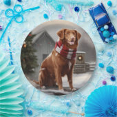 雪のクリスマスにノバスコシアダックトーラードッグ ペーパープレート (パーティー)