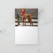 雪のクリスマスにビズラ犬 カード (内部)