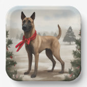 雪のクリスマスにベルギーのマリノワンドッグ ペーパープレート (正面)