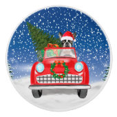 雪のクリスマスにボストンテリア犬の車を運転 セラミックノブ (正面)