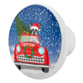 雪のクリスマスにボストンテリア犬の車を運転 セラミックノブ (右)