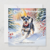 雪のクリスマスにミニチュアのシュナウザー シーズンカード (正面)