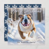 雪のクリスマスに英国のブルドッグ犬 シーズンカード (正面/裏面)