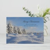 雪のクリスマスに行く場所がないから (スタンド正面)