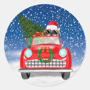 雪のクリスマスに車を運転するシーズー ラウンドシール