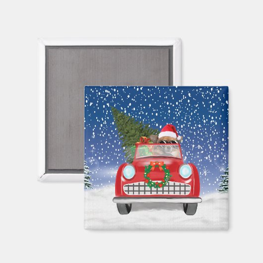 雪のクリスマスに車を運転するチワホアドッグ マグネット (正面/裏面)