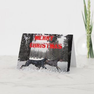雪のクリスマスのドーベルマン犬 シーズンカード