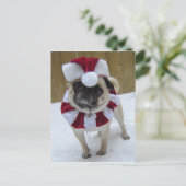 雪のクリスマスの休日のパグ シーズンポストカード (スタンド正面)