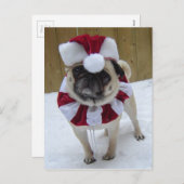 雪のクリスマスの休日のパグ シーズンポストカード (正面/裏面)