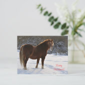 雪のクリスマスの馬 シーズンポストカード (スタンド正面)