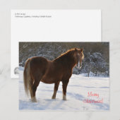 雪のクリスマスの馬 シーズンポストカード (正面/裏面)