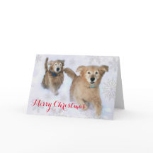 雪のクリスマスをダッシュスルーするゴールデンレトリバー