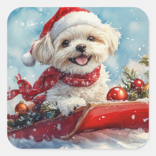 雪のクリスマスを許すそりにモルティTzu犬 スクエアシール (正面)