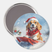 雪のクリスマスを許すそりのビーグル犬 マグネット (正面/裏面)