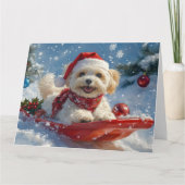 雪のクリスマスを過ごすすべり姿のハバニーズ犬 カード (正面)